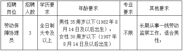 招聘岗位及人数