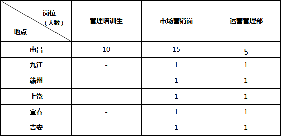 招聘岗位及人数（正式员工40名）