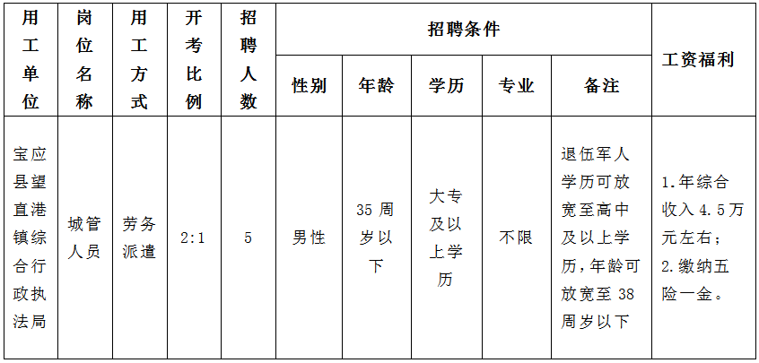 招聘岗位条件简介表