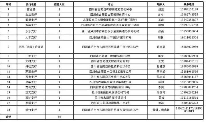 2024 年“开门红”招募见习岗位