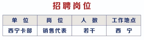 2025年浦发银行西宁分行信用卡部销售代表招聘启事（5.26）
