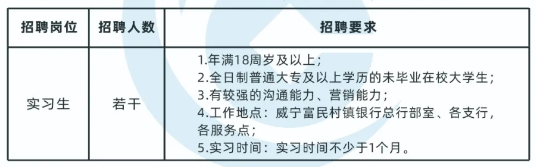 2025年威宁富民村镇银行暑期实习生招聘启事
